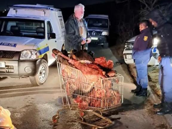 A security officer found a poacher with a trolley full of animal carcasses.