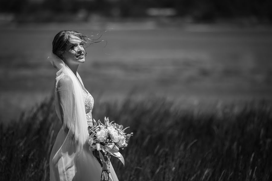 Wedding photographer Narciso Rocha (narciso). Photo of 20 January