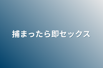 捕まったら即セックス