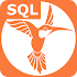 SQL Recipes 1 b3 (Pro)