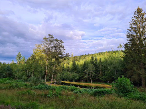 Insolite, Sainte-Barbe, Vosges