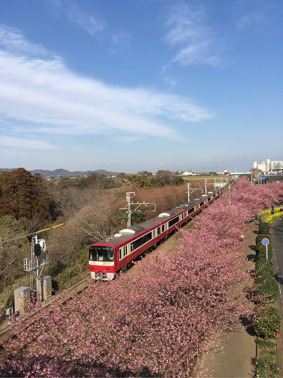 の投稿画像4枚目