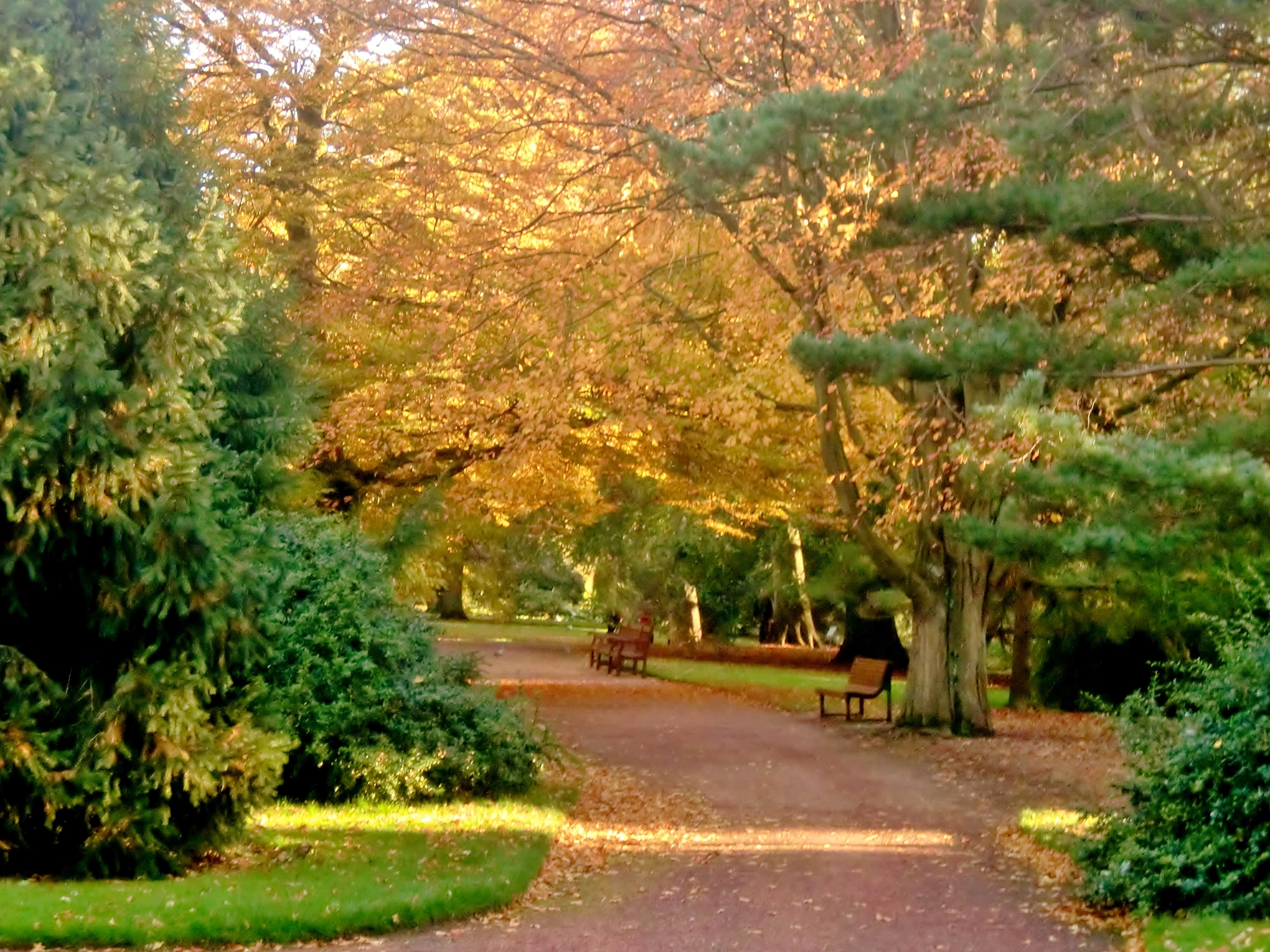 Sentiero d'autunno di Laura97