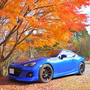 BRZ ZC6