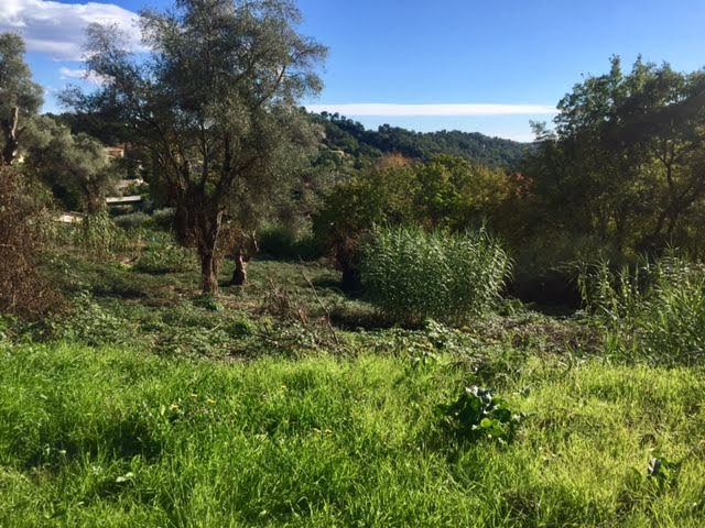 Vente terrain  21270 m² à Vence (06140), 167 000 €