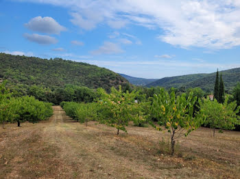 maison neuve à Ceret (66)