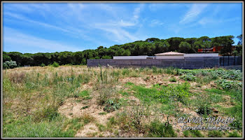 terrain à Carcassonne (11)