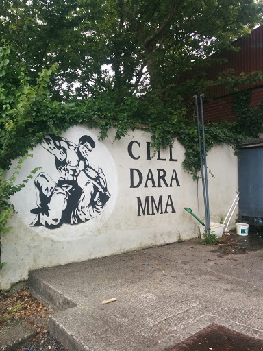 Kildare MMA Gym