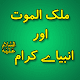 Download Malik-Ul-Mot Aur Anbiya Karam For PC Windows and Mac 1.0