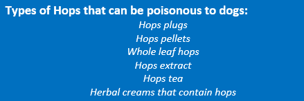 Types of hops poisonous to dogs