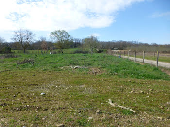 terrain à Eaunes (31)