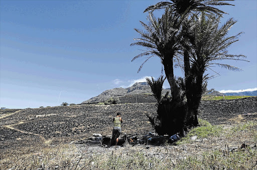 WASTELAND: Vagrants cook over an open fire on burnt slopes near De Waal Drive, Cape Town