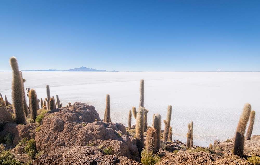 El salar de Uyuni - INCAS, SELVAS, MONTAÑAS Y DESIERTOS (10)