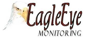 EagleEye Monitoring logo