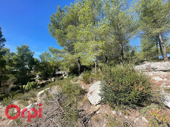 terrain à La Cadière-d'Azur (83)