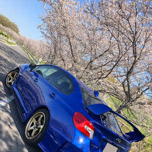 WRX STI VAB