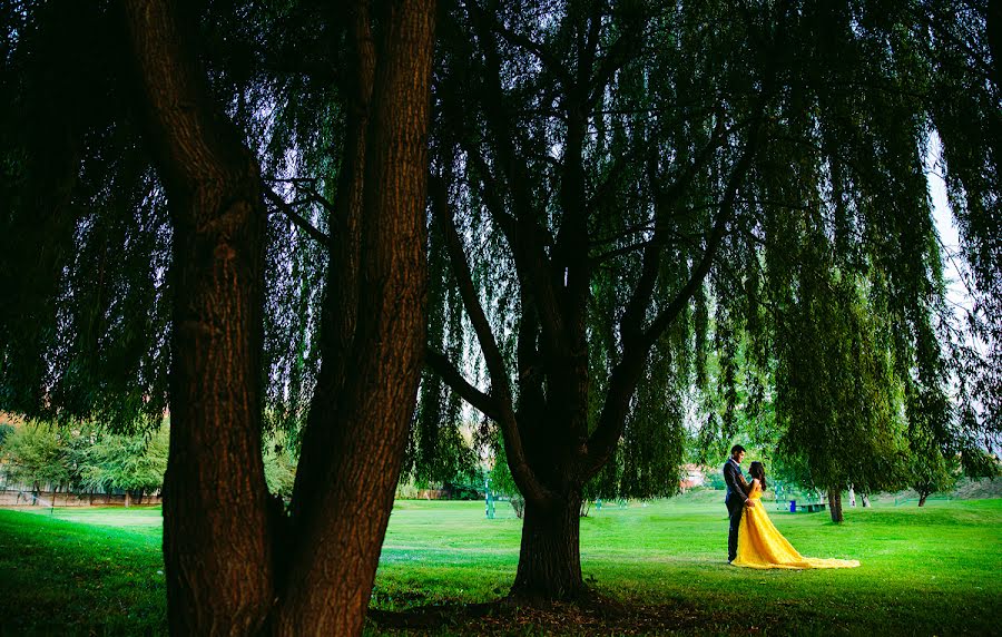 Wedding photographer Ilya Aleshkovskiy (aleshkovskiy). Photo of 26 October 2014