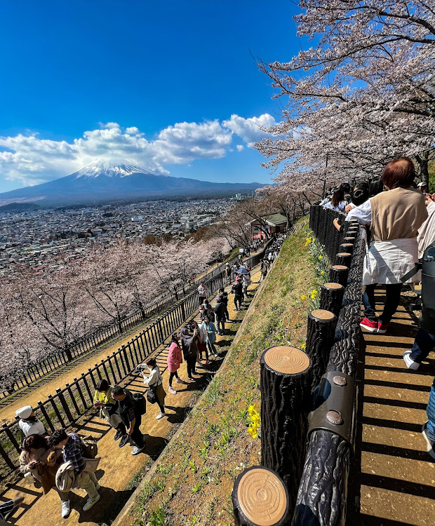 の投稿画像4枚目