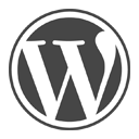 WordPress Checker