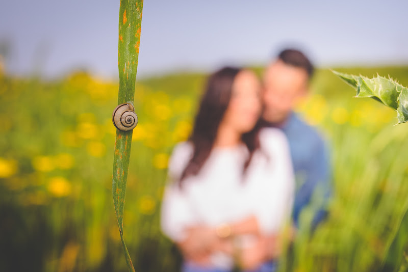 May and love di AdrianoPerelli