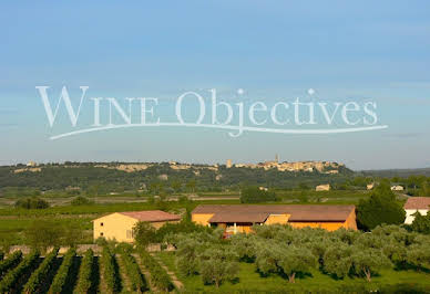 Vignoble avec piscine et dépendances 2