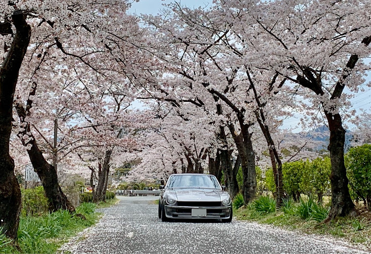 の投稿画像2枚目