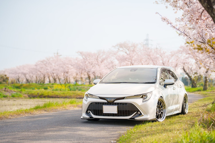 カローラスポーツのサクラと愛車・4月もよろしくお願い致します🌸に関するカスタム事例の投稿画像1枚目