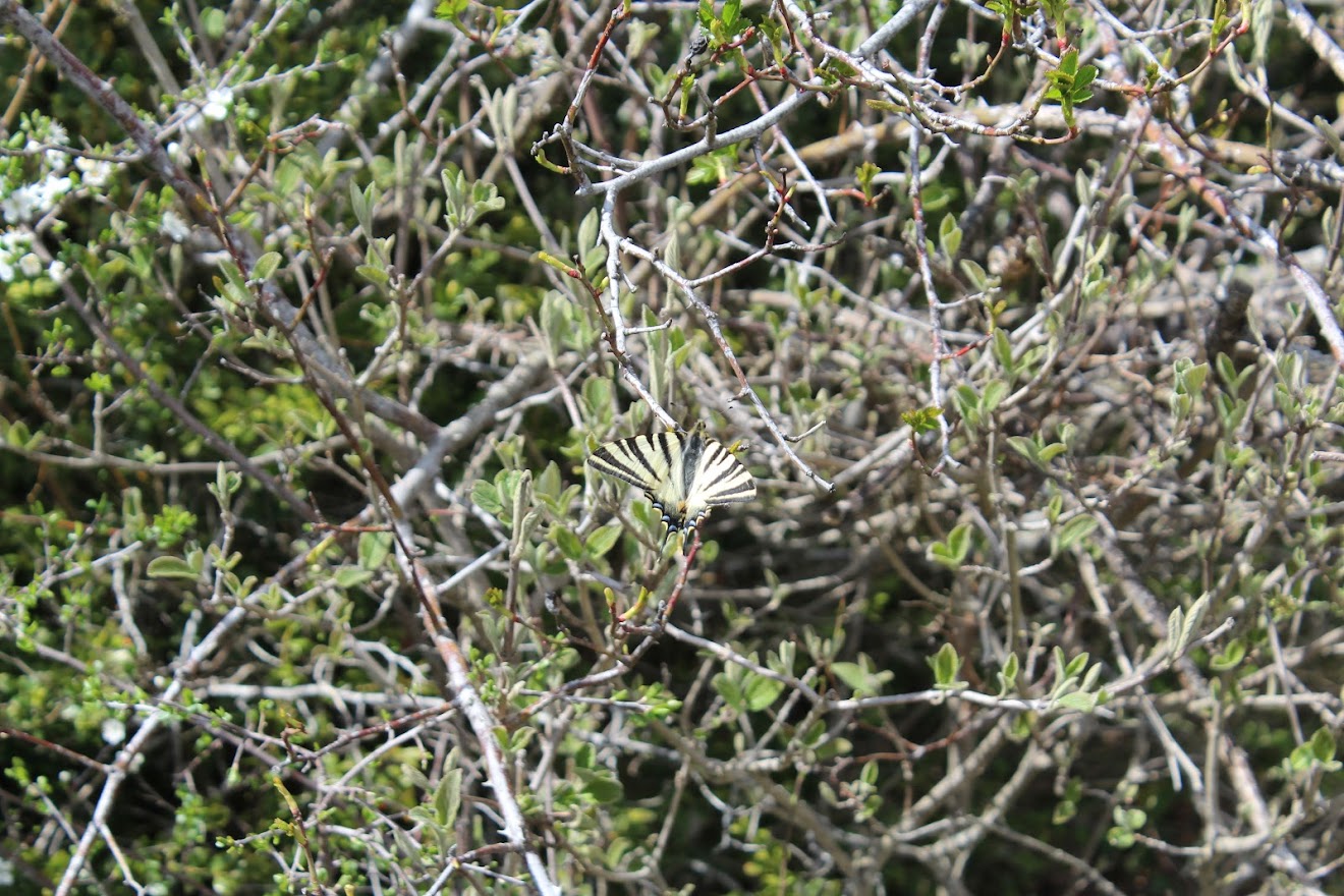 Bénonces-Rochers de La Cra par la Croix de Cuny 2DMZAGzEzlw3kl5zN6DsLUo3l2Rq6UXgqqB1JrTjEGwkkC_bm6uVR17N8iCfiQM9IBUMfR-J7w9FrHoY7s3y46kKEki0kyxuc1Yaj0w8rim1yFc9240wpmmXeh1krEQP6Y60A06JT3KqJBbCV_3vfXOI_-t1_6ZS0c-hRr1JLzusdL1HF88DYzkt8LgeshDqXa5MnchrT-OWKXd5vqN4heAkzqNQYMNKHN7mCymBm9H7AKf2GFAOv23KX66AqUakS3S1KhIcLv2G3uaPVA70GxKR02X5Wa1WyvyW2Wizm3WMpdaBKvW32JT01xXI1m1k_X6PSM4bjsylBdklB5wubamHk1PROvSj-qSA9n6pJisjxCzl4fH4ptABwadXK7Li2ueH0R8Hzn43DNlhO1gXx1ivh_2c_LfntfJoRb0AckNxR0RysBTsAYgRvat2wYXQvFpr1zbfEOt5w1xaU_4UY2E6_Kt0DkNfzKdKAcKO0ewQF8eC8ASjNphqGAnW8-ciQQEiNNfVtbEZQ-zX3J-AsODtamRjjcYymaI4X31W-mf5ABWXAvLNyMhUVkpsJ33LajuCFg=w1320-h880-no