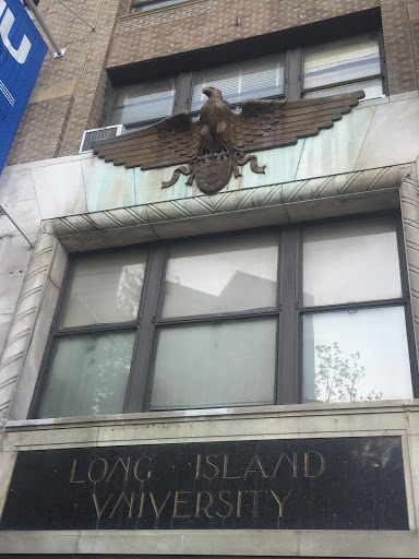 LIU Eagle