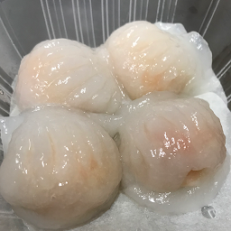 Shrimp Dumpling