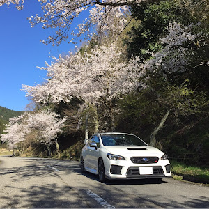 WRX STI VAB