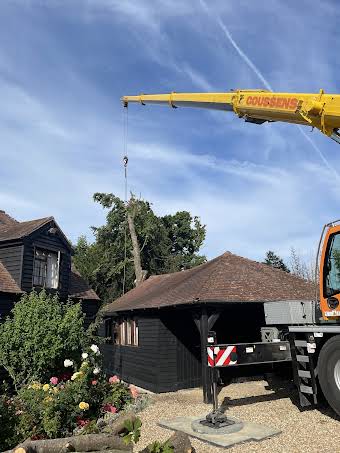 Crane and Cherry picker work album cover