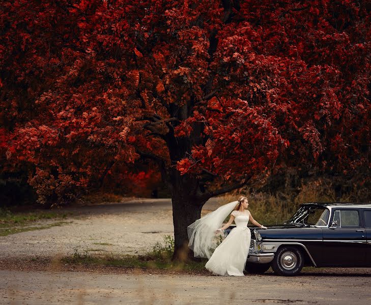 Fotógrafo de bodas Tatyana Kozhukhar (tmkozhukhar). Foto del 23 de octubre 2017