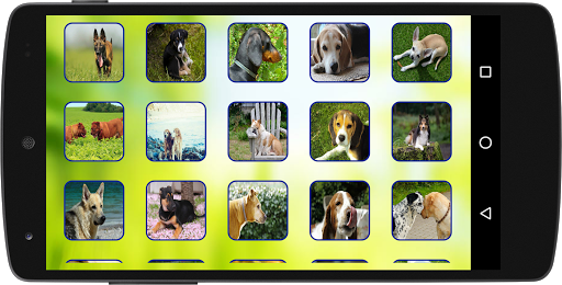 100 Puzzle Style - Dogs