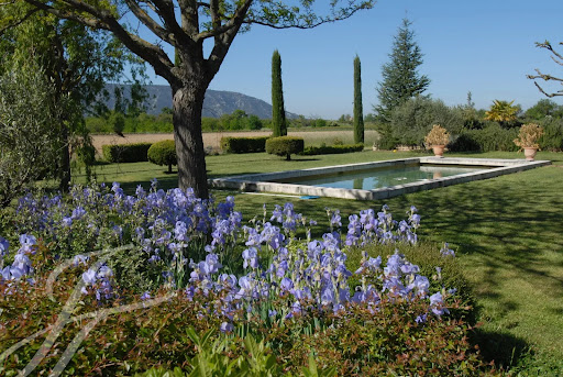 House with pool 1