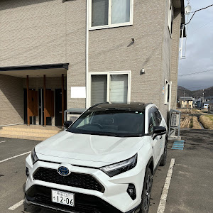 RAV4 AXAP54