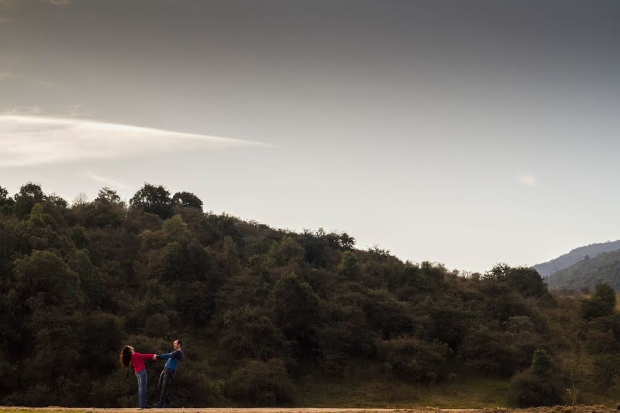 Fotógrafo de bodas Javier Luna (javierlunaph). Foto del 1 de agosto 2015