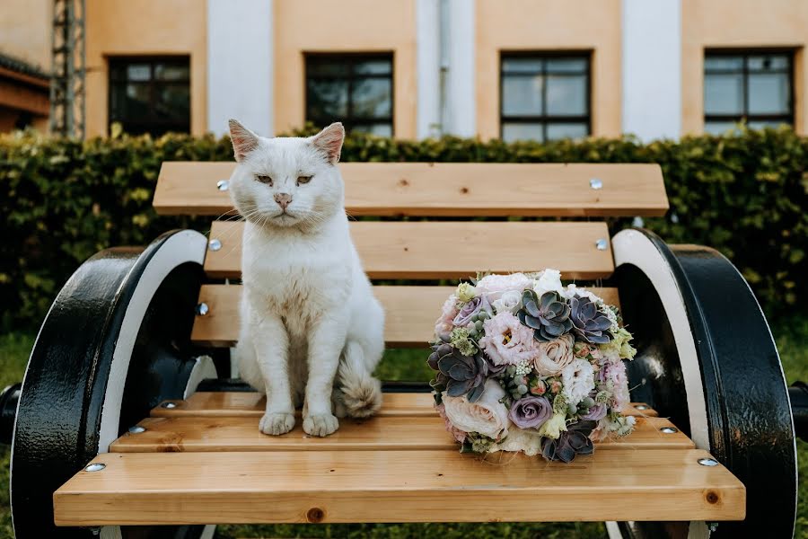 Fotógrafo de bodas Imants Vilcāns (imistudio). Foto del 30 de agosto 2019