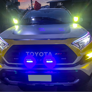 RAV4 MXAA54