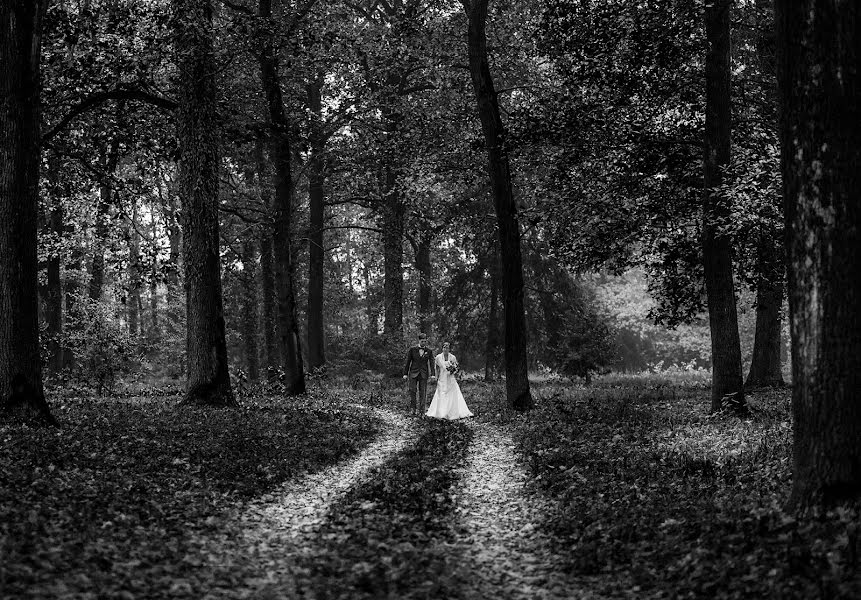 Fotógrafo de bodas Stefano Ferrier (stefanoferrier). Foto del 7 de enero 2016