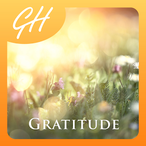 Mindfulness Meditation for Gratitude & Happiness