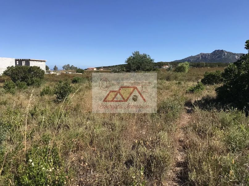 Vente terrain  5000 m² à Calvi (20260), 342 400 €