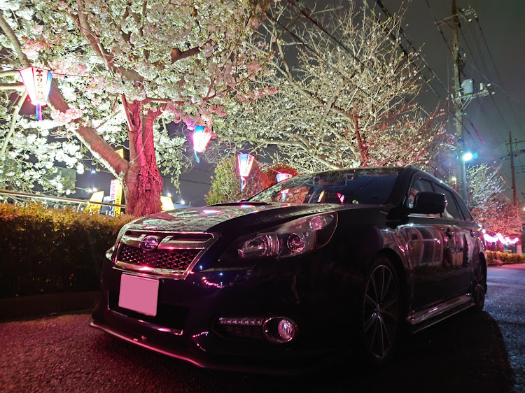 レガシィツーリングワゴンの雨の日の1枚・春の風物詩と愛車に関するカスタム事例の投稿画像1枚目