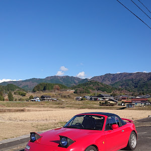 ロードスター NA6CE