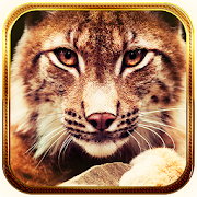 Lynx live wallpaper  Icon