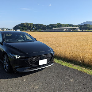 MAZDA3