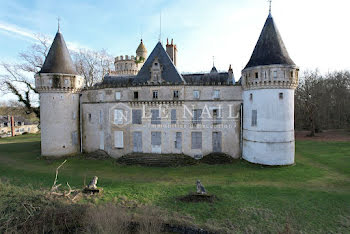 château à Sancoins (18)