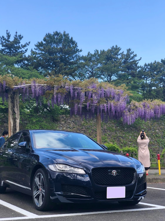 XFの過去pic・藤棚とコラボ・リーダー編・2022年・2021年に関するカスタム事例の投稿画像5枚目