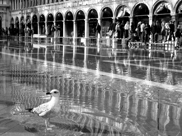 A Venezia di BananaJoe