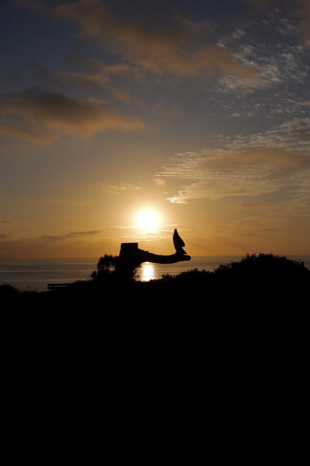 southern california coast